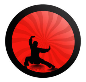 Kunststoff Kung Fu Ringe